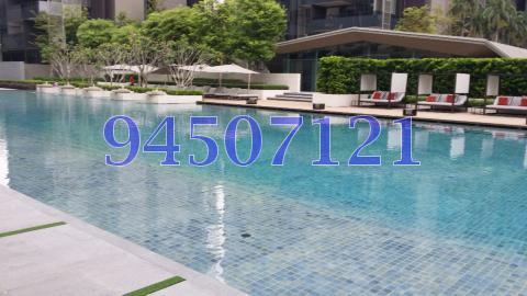 Leedon Residence (D10), Condominium #80619372